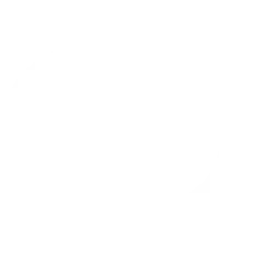AbbVie Inc. logo