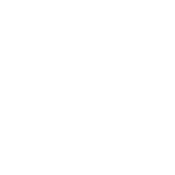 Arch Capital Group Ltd. logo