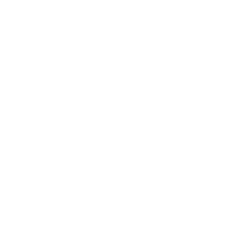 American International Group, Inc. logo