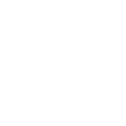 Alnylam Pharmaceuticals, Inc. logo