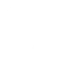 Ameriprise Financial, Inc. logo