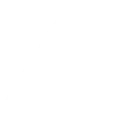 Arista Networks, Inc. logo