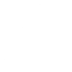 Axon Enterprise, Inc. logo