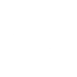 BCE Inc. logo