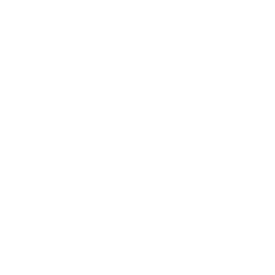 BorgWarner Inc. logo