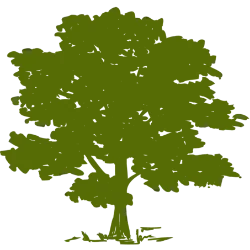 Community Health Systems, Inc. logo