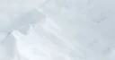 Denali Therapeutics Inc. logo