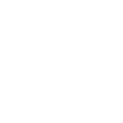 Fastenal Company logo