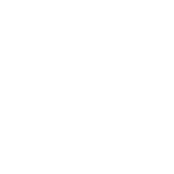 CarMax, Inc. logo