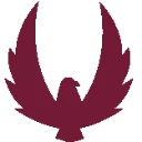 Kratos Defense & Security Solutions, Inc. logo