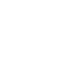 Lucid Group, Inc. logo