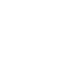 Li Auto Inc. logo