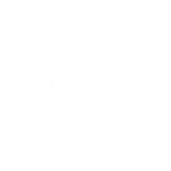 Annaly Capital Management, Inc. logo