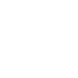NetApp, Inc. logo