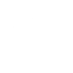 Ferrari N.V. logo