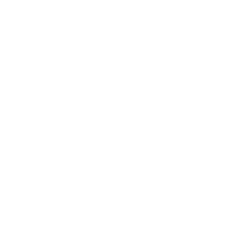 Royal Caribbean Cruises Ltd. logo