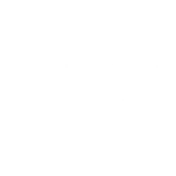 RLX Technology Inc. logo
