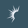 Solaris Energy Infrastructure, Inc. logo