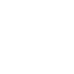 Stellantis N.V. logo