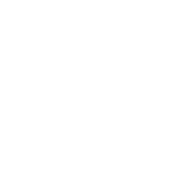 Tradr 2X Short TSLA Daily ETF logo