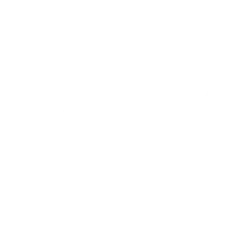 Visa Inc. logo