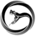 Viper Energy, Inc. logo