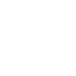WillScot Holdings Corporation logo