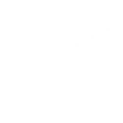 XPeng Inc. logo