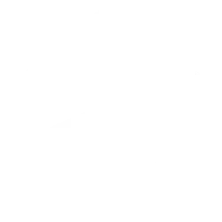 Zillow Group, Inc. Class C logo